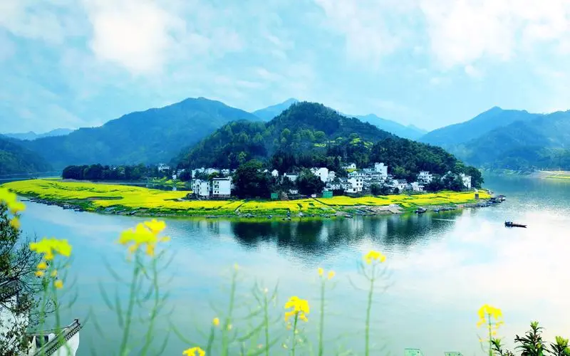科技高标准